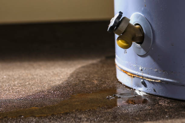 Best Flooded house restoration  in Boiling Springs, SC