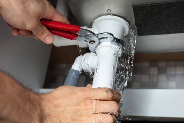 Best Professional water damage repair  in Boiling Springs, SC