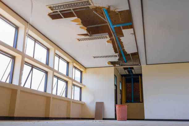 Best Professional water damage repair  in Boiling Springs, SC