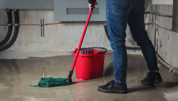 Best Mold removal after water damage  in Boiling Springs, SC