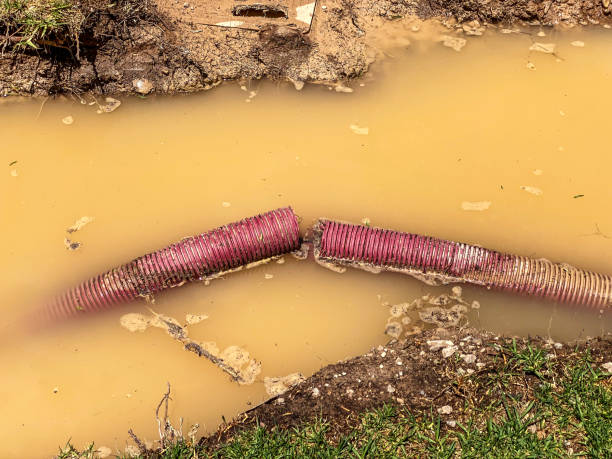 Best Commercial water damage restoration  in Boiling Springs, SC