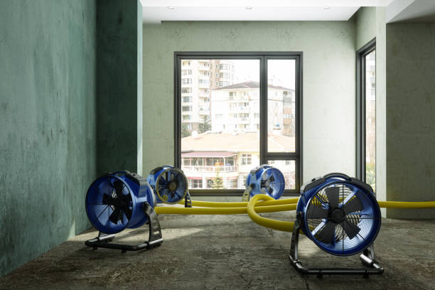 Best Water damage cleanup near me  in Boiling Springs, SC